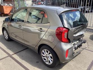 Kia Picanto Picanto (JA), Hatchback, 2017 1.0 12V picture 4