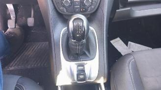 Opel Meriva Meriva, MPV, 2010 / 2017 1.4 Turbo 16V Ecotec picture 21