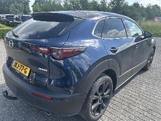 Mazda CX-30 2.5  eSkyActive -G Nagisa     ( 15617 Km ) picture 6