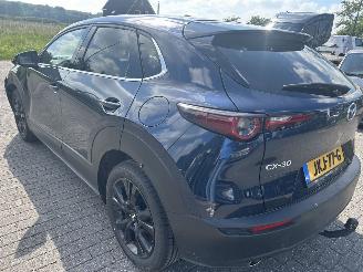 Mazda CX-30 2.5  eSkyActive -G Nagisa     ( 15617 Km ) picture 8