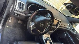 Jeep Grand-cherokee Grand Cherokee (WK/WK2), SUV, 2010 3.0 CRD V6 24V picture 9