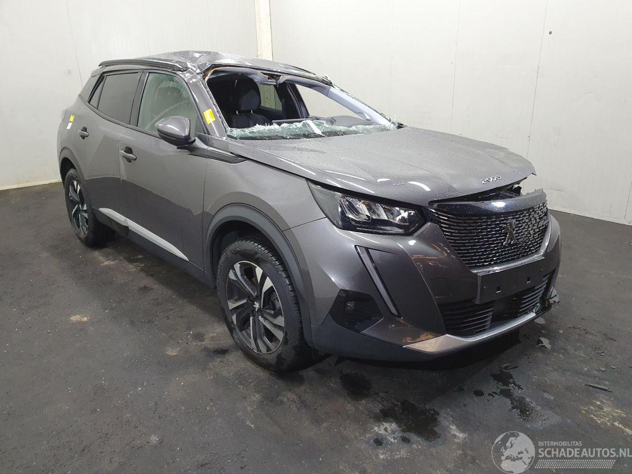 Peugeot 2008 P24E 1.2 PT Business Line Allure