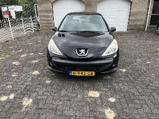 Peugeot 206+  picture 8