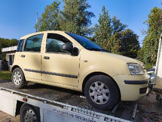 ocasión turismos Fiat Panda 1.2 Active 2010/7