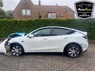 Uttjänta bilar auto Tesla Model Y Model Y (5YJY), SUV, 2019 Long Range 72kWh 2023/1
