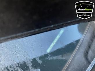 Ford C-Max C-Max (DXA), MPV, 2010 / 2019 1.0 Ti-VCT EcoBoost 12V 125 picture 21