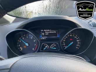 Ford C-Max C-Max (DXA), MPV, 2010 / 2019 1.0 Ti-VCT EcoBoost 12V 125 picture 12