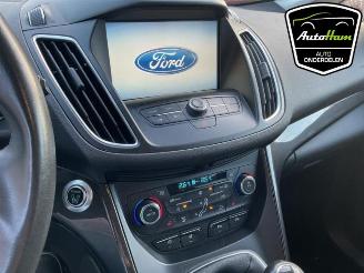 Ford C-Max C-Max (DXA), MPV, 2010 / 2019 1.0 Ti-VCT EcoBoost 12V 125 picture 13