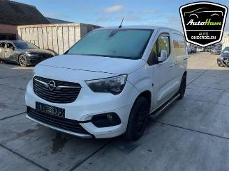 Opel Combo Combo Cargo, Van, 2018 1.5 CDTI 130 picture 6