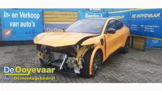 Ford USA Mustang Mustang Mach-E, SUV, 2020 98kWh AWD GT picture 6