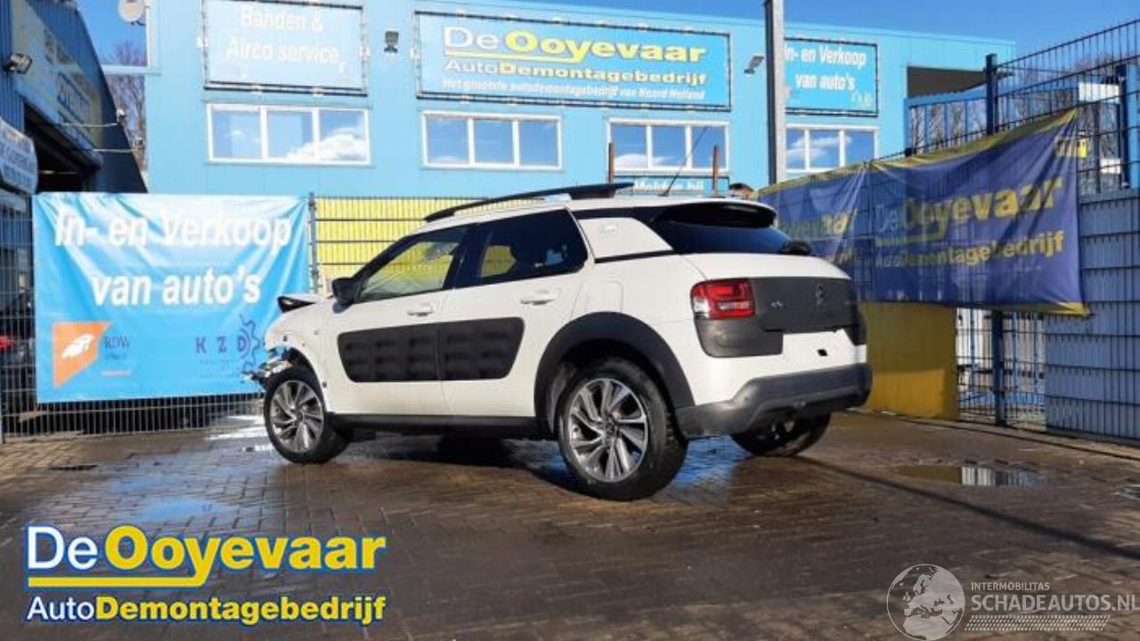 Citroën C4 cactus C4 Cactus (0B/0P), Hatchback 5-drs, 2014 1.6 Blue Hdi 100