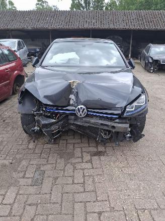 Volkswagen Golf GTE picture 5