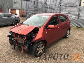 Vrakbiler auto Kia Picanto Picanto (JA), Hatchback, 2017 1.0 12V 2019/8