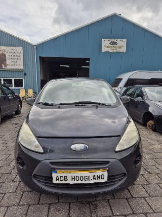 Salvage car Ford Ka II Hatchback 1.2 (169.A.4000(Euro 4; Euro 5)) [51kW] 2010/1