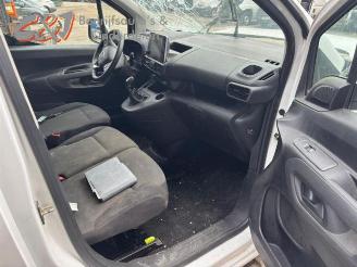 Opel Combo Combo Cargo, Van, 2018 1.5 CDTI 100 picture 15