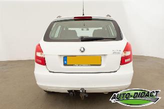 Skoda Fabia Combi 1.4 TDI Airco Greenline picture 36