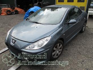 Uttjänta bilar auto Peugeot 307 307 CC (3B) Cabrio 2.0 16V (EW10J4(RFN)) [100kW]  (10-2003/06-2005) 2004/6