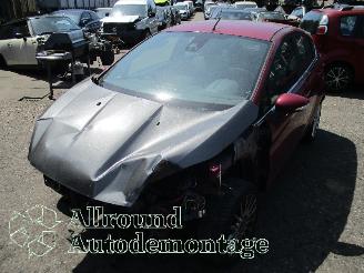 Vrakbiler auto Ford Fiesta Fiesta 6 (JA8) Hatchback 1.0 EcoBoost 12V 100 (SFJA(Euro 5)) [74kW]  (=
01-2013/06-2017) 2013/0