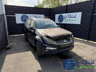 Vrakbiler auto Ssang yong Rexton Rexton W, SUV, 2012 / 2017 2.2 RX 220 E-XDI 16V 2WD 2017/11
