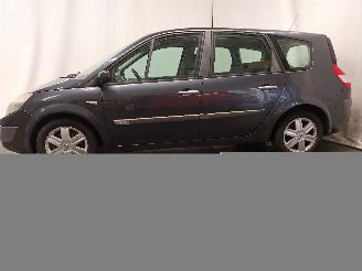 Renault Scenic Grand Scénic II (JM) MPV 2.0 16V (F4R-770(Euro 4)) [99kW]  (04-2004/=
06-2009) picture 4
