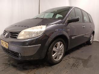 Renault Scenic Grand Scénic II (JM) MPV 2.0 16V (F4R-770(Euro 4)) [99kW]  (04-2004/=
06-2009) picture 3