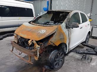Vrakbiler auto Kia Picanto Picanto (JA) Hatchback 1.0 12V (G3LD) [49kW]  (03-2017/...) 2023