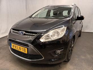 skadebil auto Ford Grand C-Max Grand C-Max (DXA) MPV 1.0 Ti-VCT EcoBoost 12V 125 (M1DA(Euro 5)) [92kW=
]  (10-2012/06-2019) 2013/6