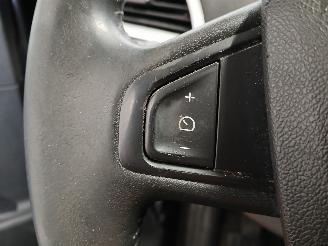 Renault Scenic Scénic III (JZ) MPV 1.4 16V TCe 130 (H4J-700(H4J-A7)) [96kW]  (02-20=
09/09-2016) picture 15