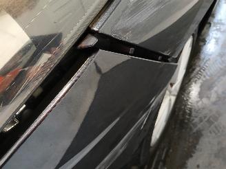 Renault Scenic Scénic III (JZ) MPV 1.4 16V TCe 130 (H4J-700(H4J-A7)) [96kW]  (02-20=
09/09-2016) picture 26