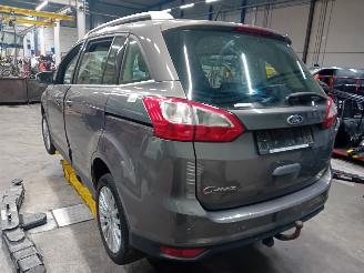 Ford Grand C-Max Grand C-Max (DXA) MPV 1.0 Ti-VCT EcoBoost 12V 125 (M1DA(Euro 5)) [92kW=
]  (10-2012/06-2019) picture 4