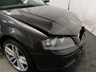 Audi A3 A3 Sportback (8PA) Hatchback 5-drs 1.8 TFSI 16V (BYT) [118kW]  (11-200=
6/03-2013) picture 24