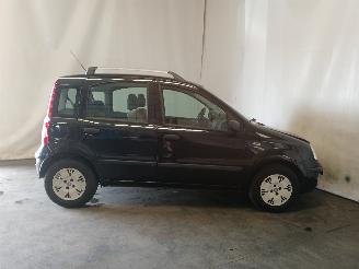 Fiat Panda Panda (169) Hatchback 1.2 Fire (188.A.4000) [44kW]  (09-2003/12-2009) picture 7