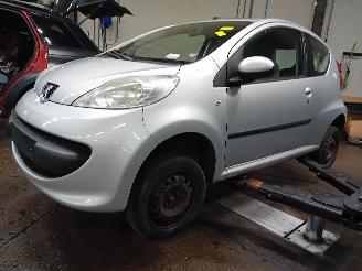 disassembly passenger cars Peugeot 107 107 Hatchback 1.0 12V (384F(1KR)) [50kW]  (06-2005/05-2014) 2008/9