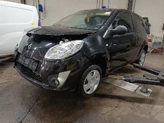Uttjänta bilar auto Renault Twingo Twingo II (CN) Hatchback 3-drs 1.2 16V (D4F-772(D4F-J7)) [56kW]  (03-2=
007/09-2014) 2009/6