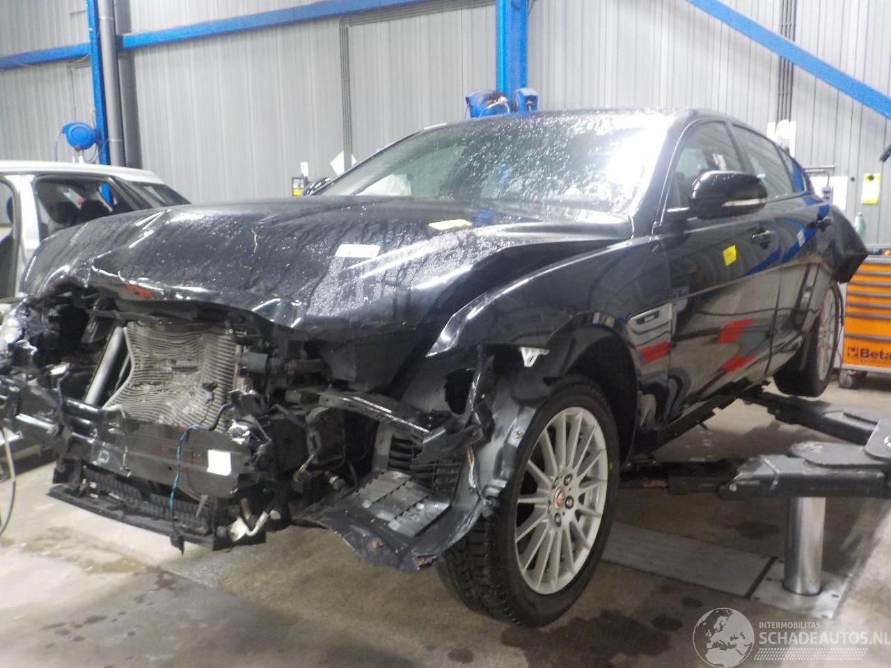 Jaguar XE XE Sedan 2.0 D E-Performance 16V (204DTD(AJ20D4)) [120kW]  (03-2015/..=
=2E)