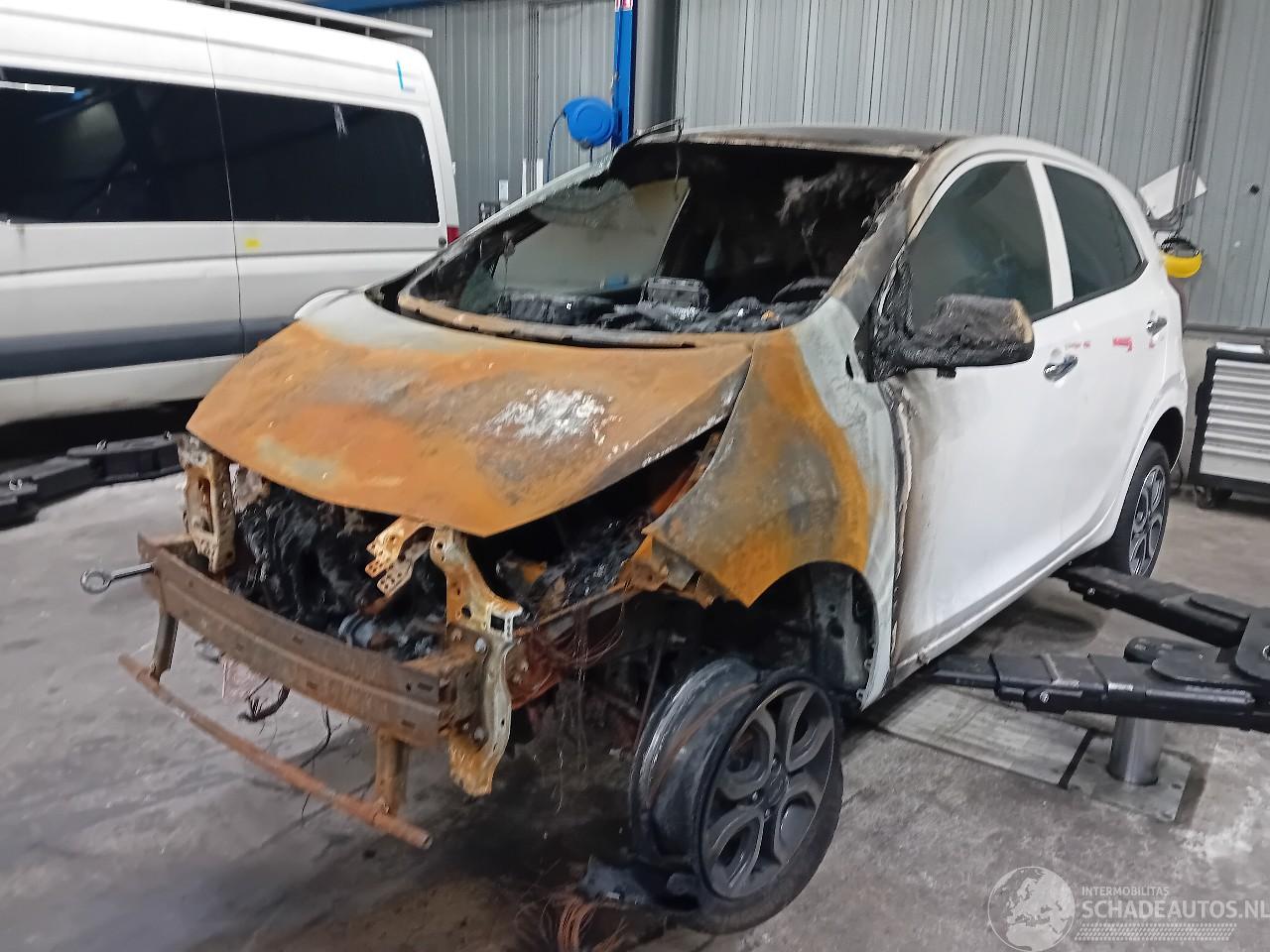 Kia Picanto Picanto (JA) Hatchback 1.0 12V (G3LD) [49kW]  (03-2017/...)