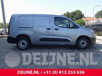 Opel Combo Combo Cargo, Van, 2018 1.5 CDTI 100 picture 7