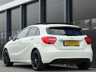 Mercedes A-klasse A200 CDI Panorama Camera PDC picture 5