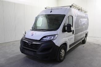 Vrakbiler auto Opel Movano  2022/7