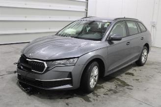 Salvage car Skoda Octavia  2024/12