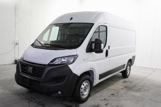 Vrakbiler auto Fiat Ducato  2017/6
