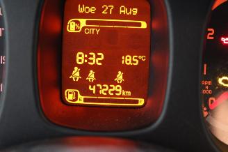 Fiat Panda  picture 12