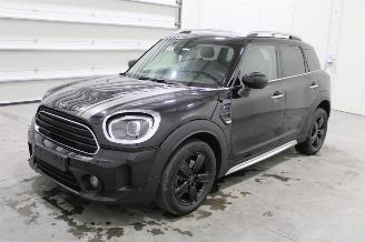 Unfallwagen Mini Cooper _COUNTRYMAN 2023/6