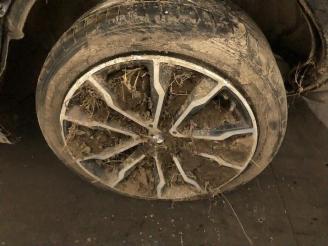 BMW X3 X3 (G01), SUV, 2017 xDrive 30d 3.0 TwinPower Turbo 24V picture 10