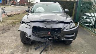 Jaguar F-Pace F-Pace, SUV, 2015 / 2025 2.0 D 180 16V AWD picture 2