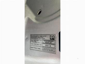 Fiat Doblo Doblo Cargo (263), Van, 2010 1.3 MJ 16V DPF Euro 5 picture 16