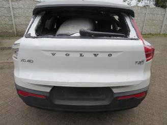 Volvo XC40 XC40 (XZ), SUV, 2017 1.5 T3 12V picture 8