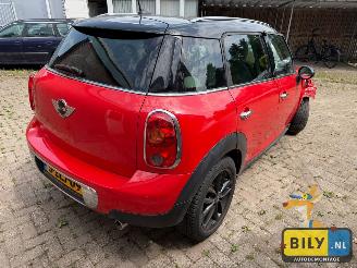 Mini Countryman  picture 3