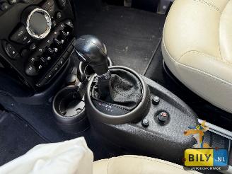 Mini Countryman  picture 13