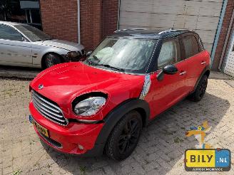 Mini Countryman  picture 1
